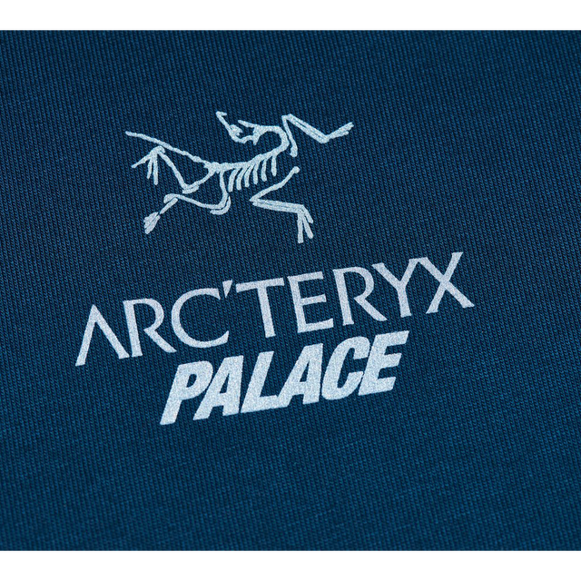 Palace Arc'Teryx T-Shirt Teal